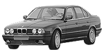 BMW E34 P02DA Fault Code